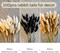 100 Stems Bunny Tails Pampas Grass Dried Flowers - 30pcs Black, 30pcs White, 40pcs Natural Brown, Boho Home & Kitchen Decor, Pampas Grass Decor